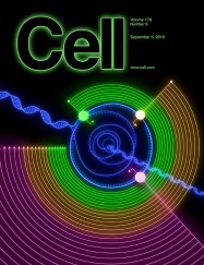 Cell Cover 2019